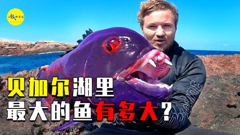 贝加尔湖平均水深730米，苏武牧羊的地方，湖里的鱼最大能有多大？_高清1080P在线观看平台_腾讯视频
