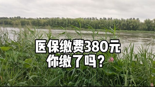 2023年河南省城乡居民基本医疗保险费每人380元,财政补助标准为640元.