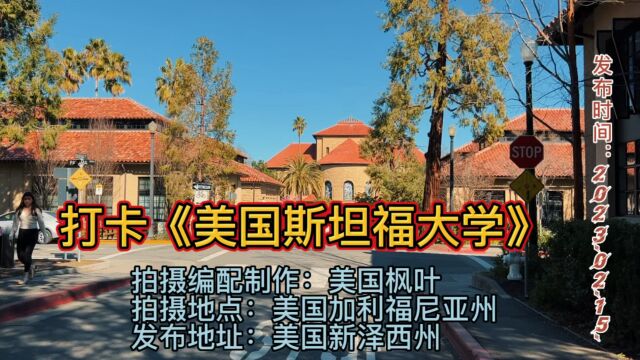 去《美国斯坦福大学》打卡签到哟!美国枫叶随拍!编制:美国枫叶