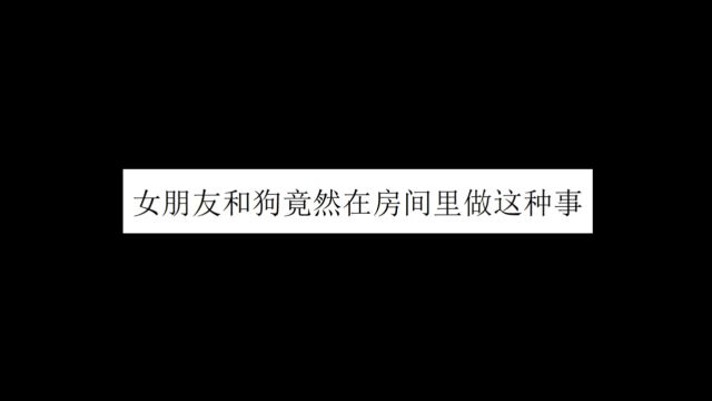 女朋友和狗竟然在房间里做这种事