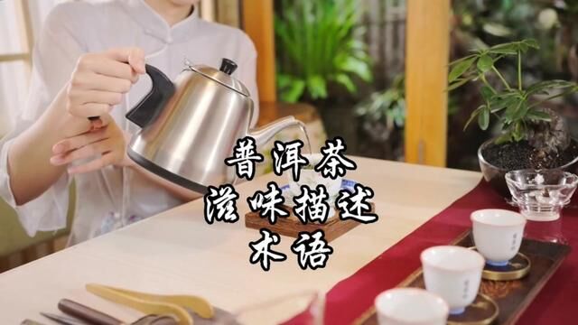 普洱茶滋味描述术语#普洱茶 #爱喝茶的关注我