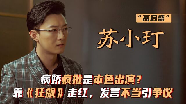 病娇疯批是本色出演?苏小玎靠《狂飙》走红,却因发言不当引争议