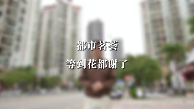 关于宝中网红盘都市茗荟2期,你们最想问的问题是什么?