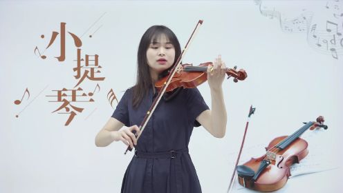  第03集小提琴的构造及发声原理