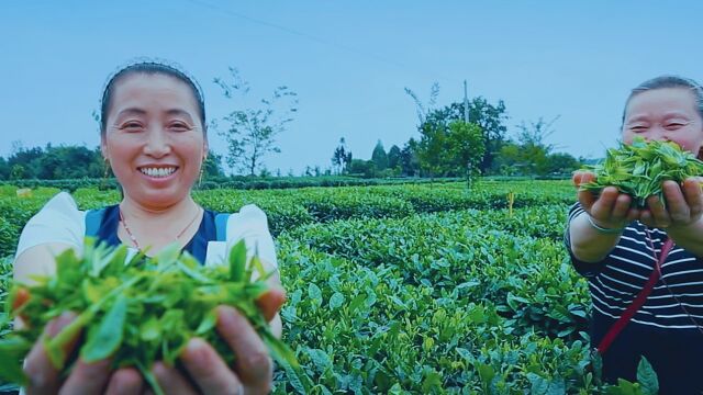 一江春水(作词 冯元起 作曲 刘崇忠 演唱 江虹娇)