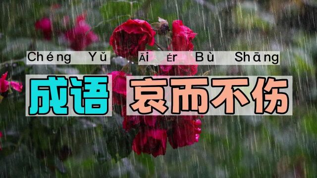 哀而不伤|一一学语