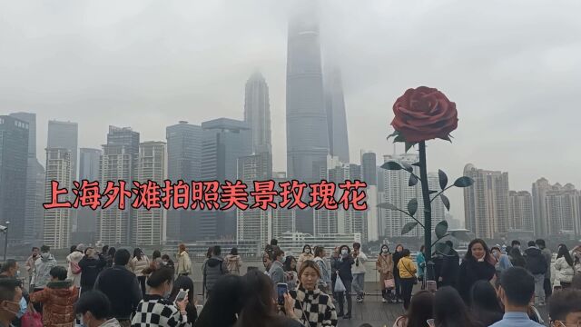 上海外滩拍美景玫瑰花