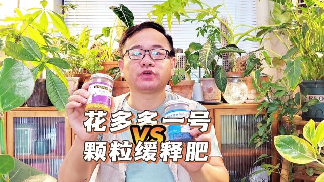 花多多1号和三元颗粒缓释肥,有什么区别?各适合哪些植物?