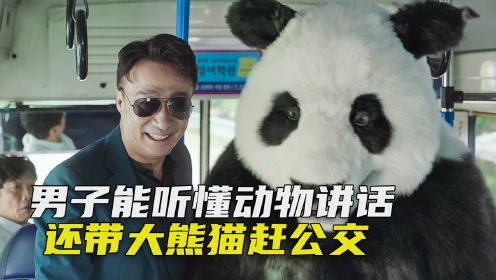 男人意外摔伤后，发现自己能听懂动物讲话，带大熊猫赶公交，喜剧《动物园先生》