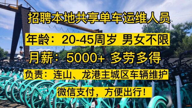 葫芦岛本地招聘单车运维人员