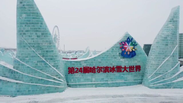 网络普法龙江有“法儿”:网红大雪兔变身普法使者