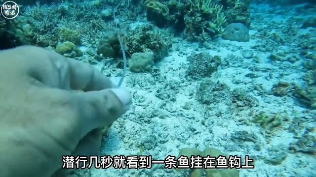 菲律宾小伙3人捕鱼为生,2天狂赚40105元,体验沉浸式水下捕鱼