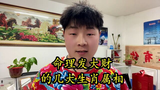 命理发大财的几大生肖属相,快来看看有你吗?