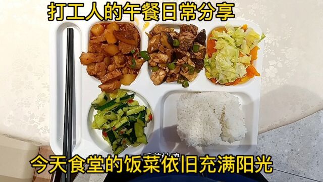 打工人的午餐日常分享,今天食堂的饭菜依旧充满阳光!