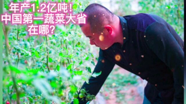 年产1.2亿吨!我国蔬菜种植第一大省不是河南不是广东,是这个省