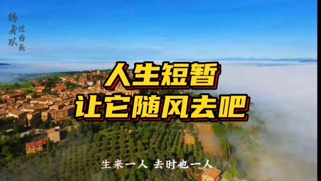 路过的都是风景,留下的才是人生#情感人生