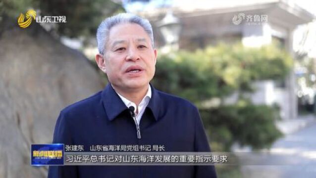 经略海洋向海图强 山东加速蓝色崛起