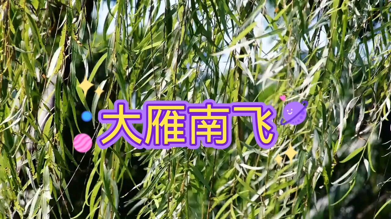 大雁往南飞歌曲(思恋伴着鸿雁飞原唱)
