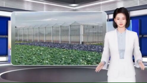 荷兰的玻璃温室技术是如何实现农业生产的可持续发展的