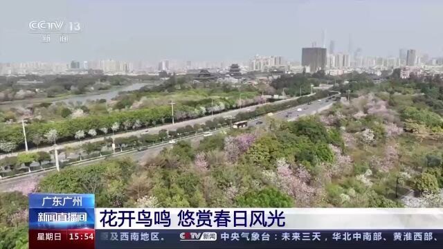 央视:广州花开鸟鸣 市民悠赏春日风光