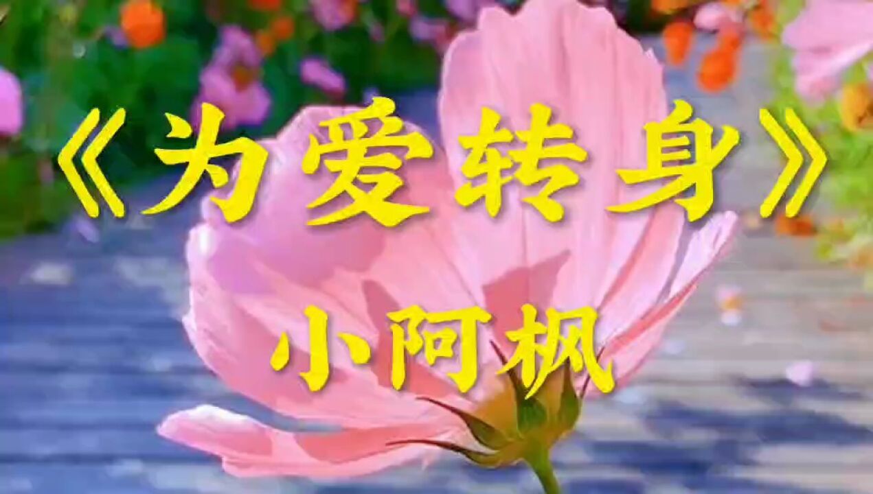 《为爱转身》小阿枫演唱