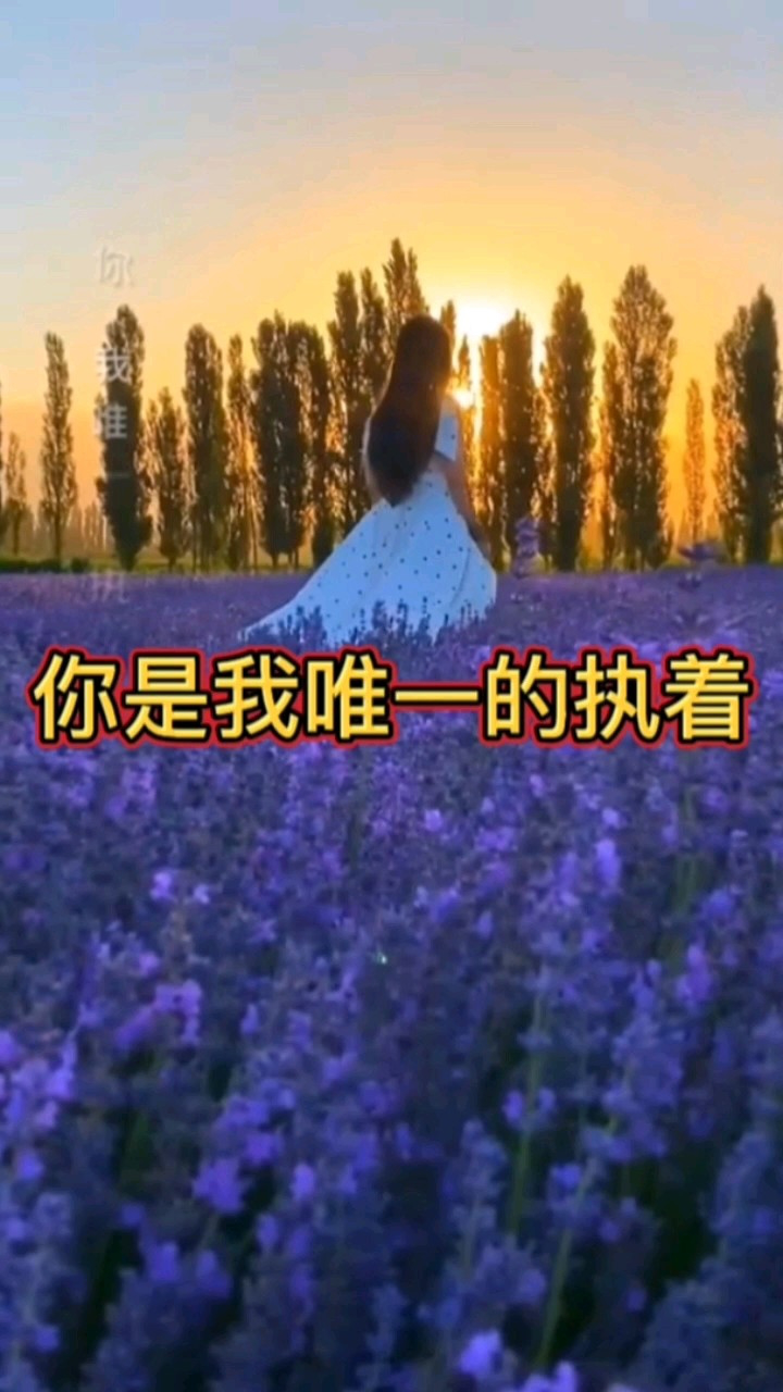 你是我唯一的执着!