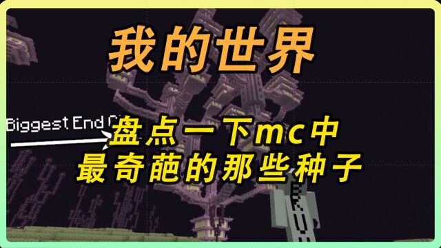 我的世界:盘点mc中最奇葩的那些种子!