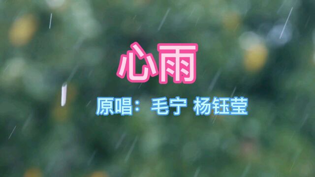 经典老歌100首之杨钰莹《心雨》