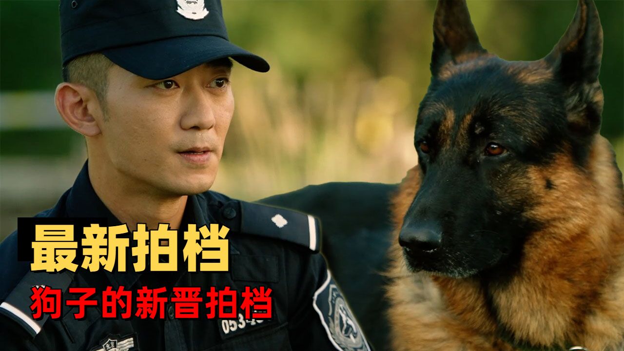 警犬剧照图片