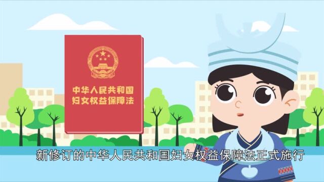 【3ⷸ妇女维权月】撑起法律伞,维护“她”权益