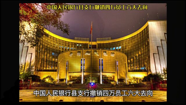 中国人民银行县支行撤销四万员工六大去向