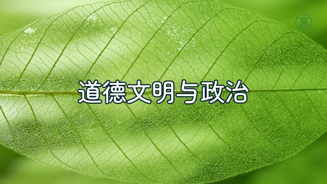 《山林子谈人类道德文明》284【道德文明与政治】鹤清工作室