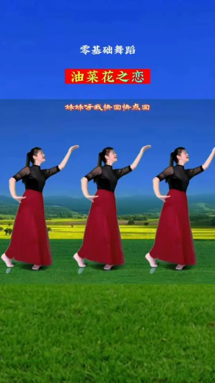 糖豆广场舞油菜花开