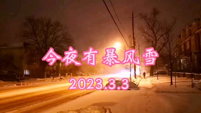 多伦多三月初雪暴之二