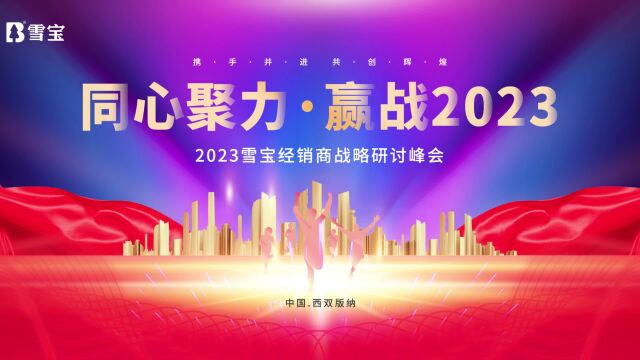 2023年板材十大品牌雪宝经销商战略研讨峰会