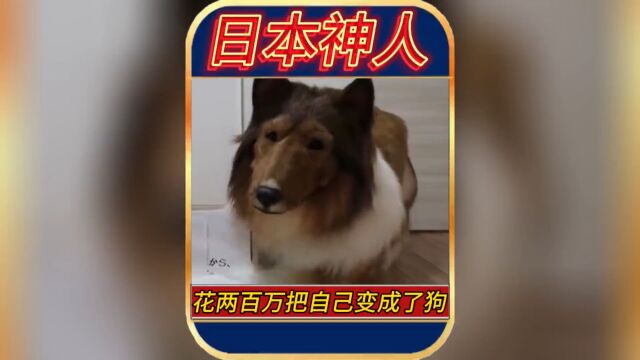 日本小哥花200万把自己变成狗