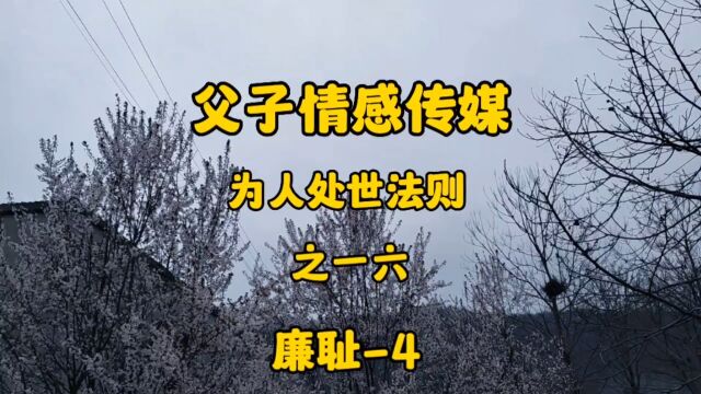 为人处世法则之一六廉耻4?看父子情感传媒怎么说?