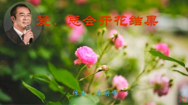 《爱,总会开花结果》作者:李明峰 诵读:大连伙计