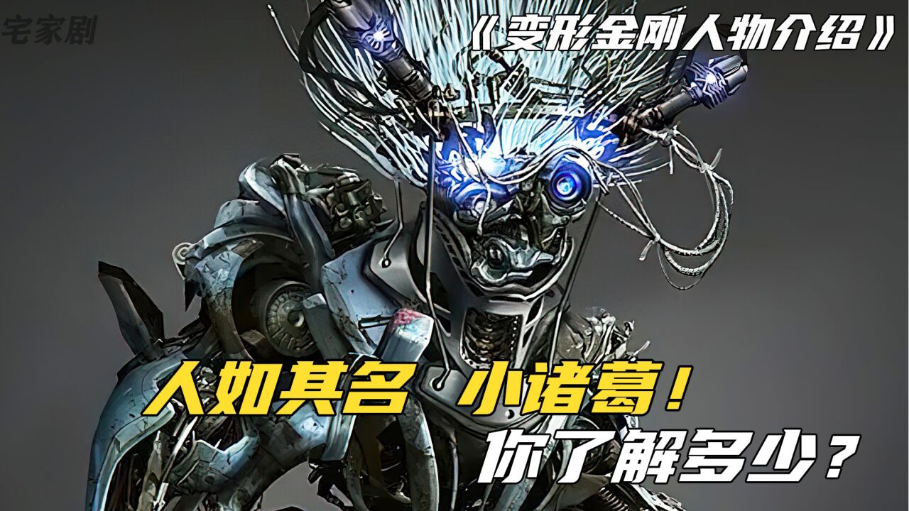 变形金刚人物介绍之小诸葛:人如其名,智商超群!