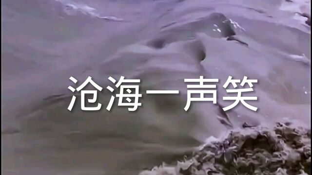 沧海一声笑