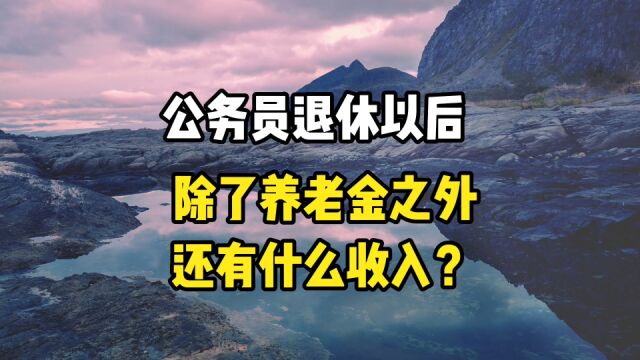 公务员退休以后,除了养老金之外,还有什么收入?