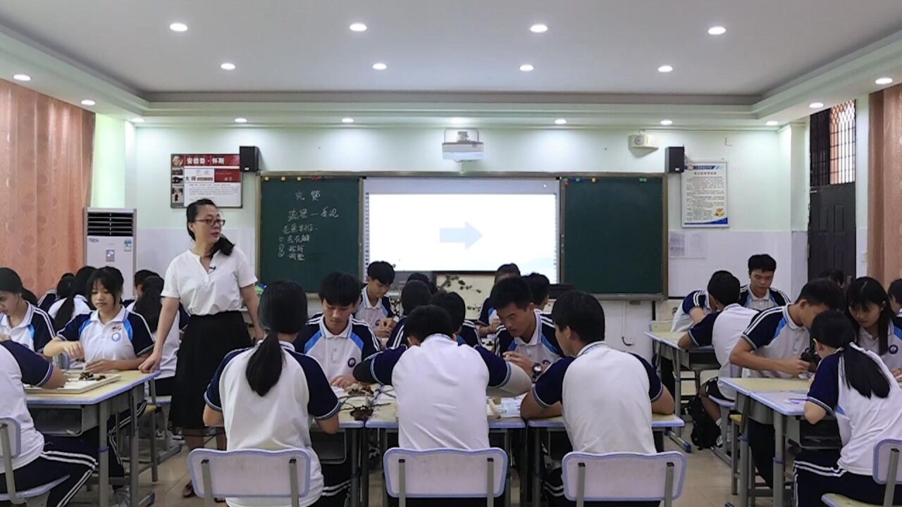 课堂教学视频_高清1080P在线观看平台_腾讯视频