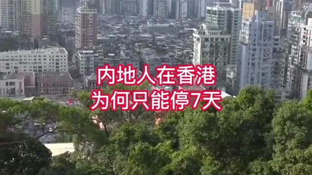 内地人在香港为何只能停留7天 #港澳 #正能晕 #人口 #香港通关