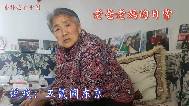 民间版《五鼠闹东京》的故事,九十岁的老妈讲得绘声绘色