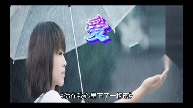 你在我心里下了一场雨