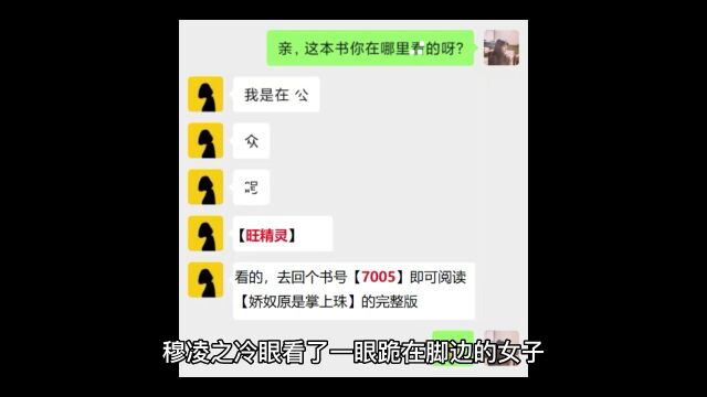 《娇奴原是掌上珠》穆凌之玉如颜小说全文【完结】