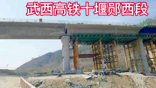 基建狂魔武西高铁十堰郧西段建设速度真快两年后顺利通车指日可待