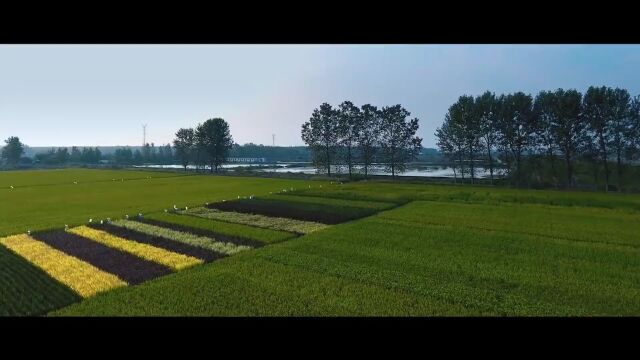 今天,大上海都在热议姜堰……