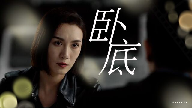 《辣警狂花2》直击网络贷被后的秘密,女警卧底查真相!