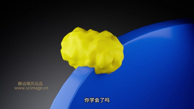 【SCI科研制图教程】如何用3dsMax的噪波工具做蛋白(3D MAX软件)【宋元元博主】